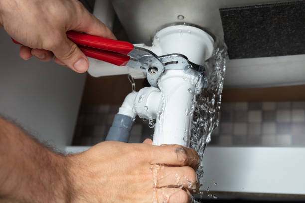 Best Water damage cleanup near me  in Willits, CA
