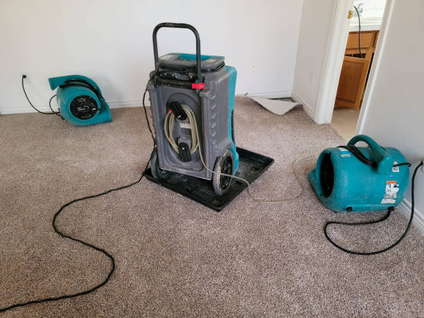 Best Emergency water damage restoration  in Willits, CA