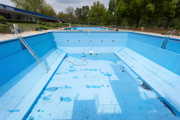 Best Water damage contractors near me  in Willits, CA