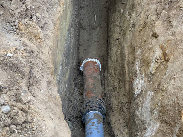 Best Flood damage cleanup  in Willits, CA
