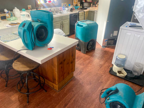 Best Sewage cleanup and water damage restoration  in Willits, CA