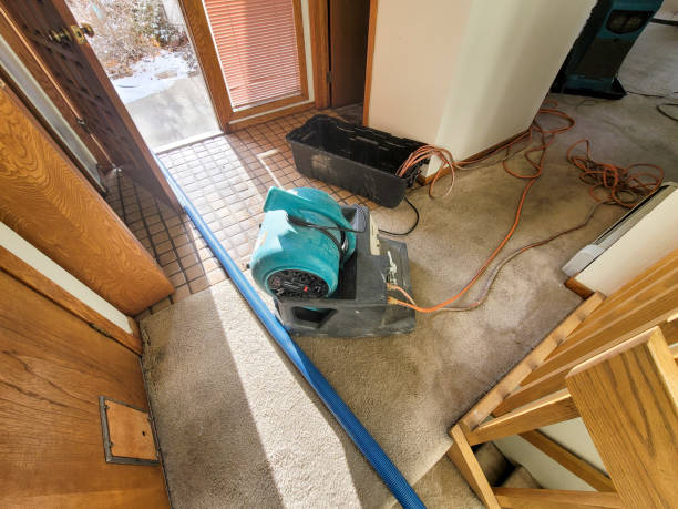 Best Flooded house restoration  in Willits, CA