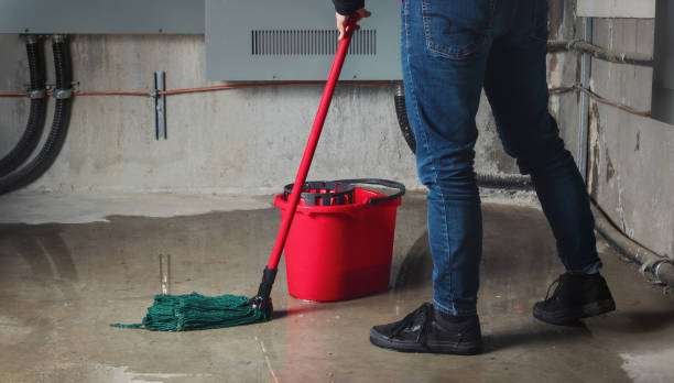 Best Residential water damage restoration  in Willits, CA
