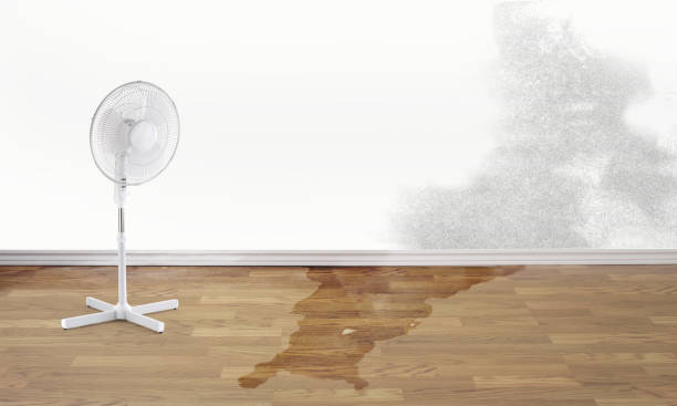Best 24-hour water damage restoration  in Willits, CA