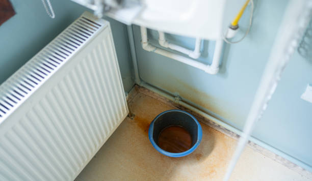 Best Mold removal after water damage  in Willits, CA