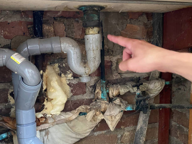 Best Fire Damage Restoration  in Willits, CA