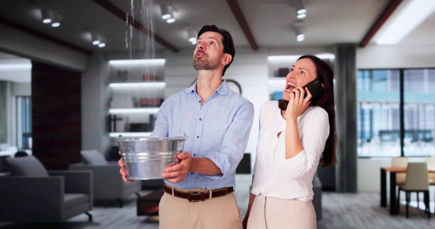 Best Fire Damage Restoration  in Willits, CA