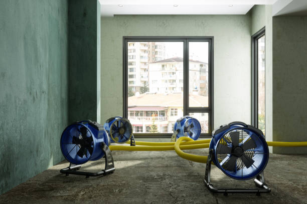Water damage restoration process in Willits, CA
