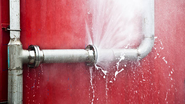 Trusted Willits, CA Water damage restoration Experts